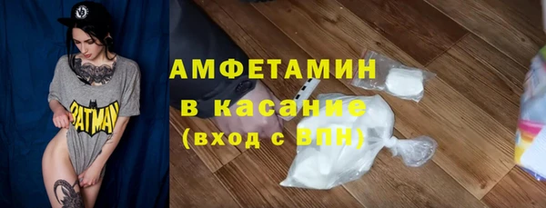 шишки Корсаков