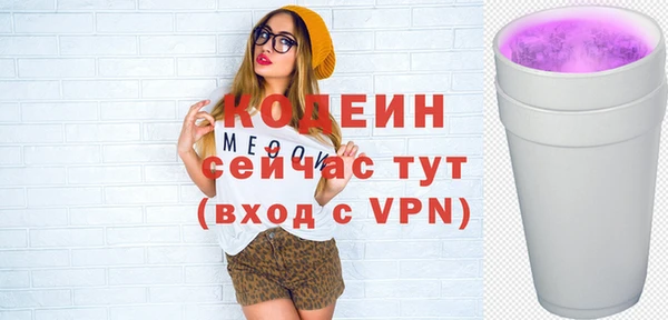 шишки Корсаков