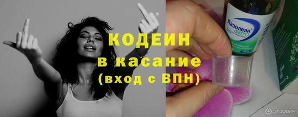 шишки Корсаков