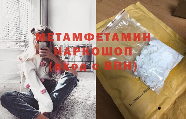 шишки Корсаков
