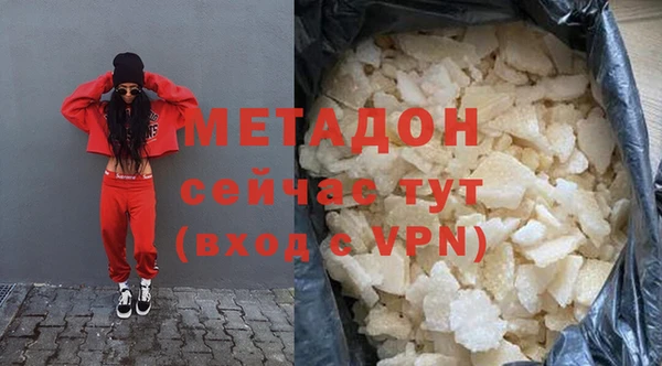 шишки Корсаков