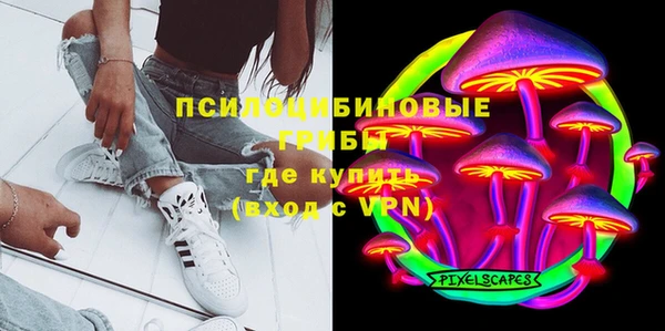 шишки Корсаков