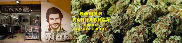 шишки Корсаков
